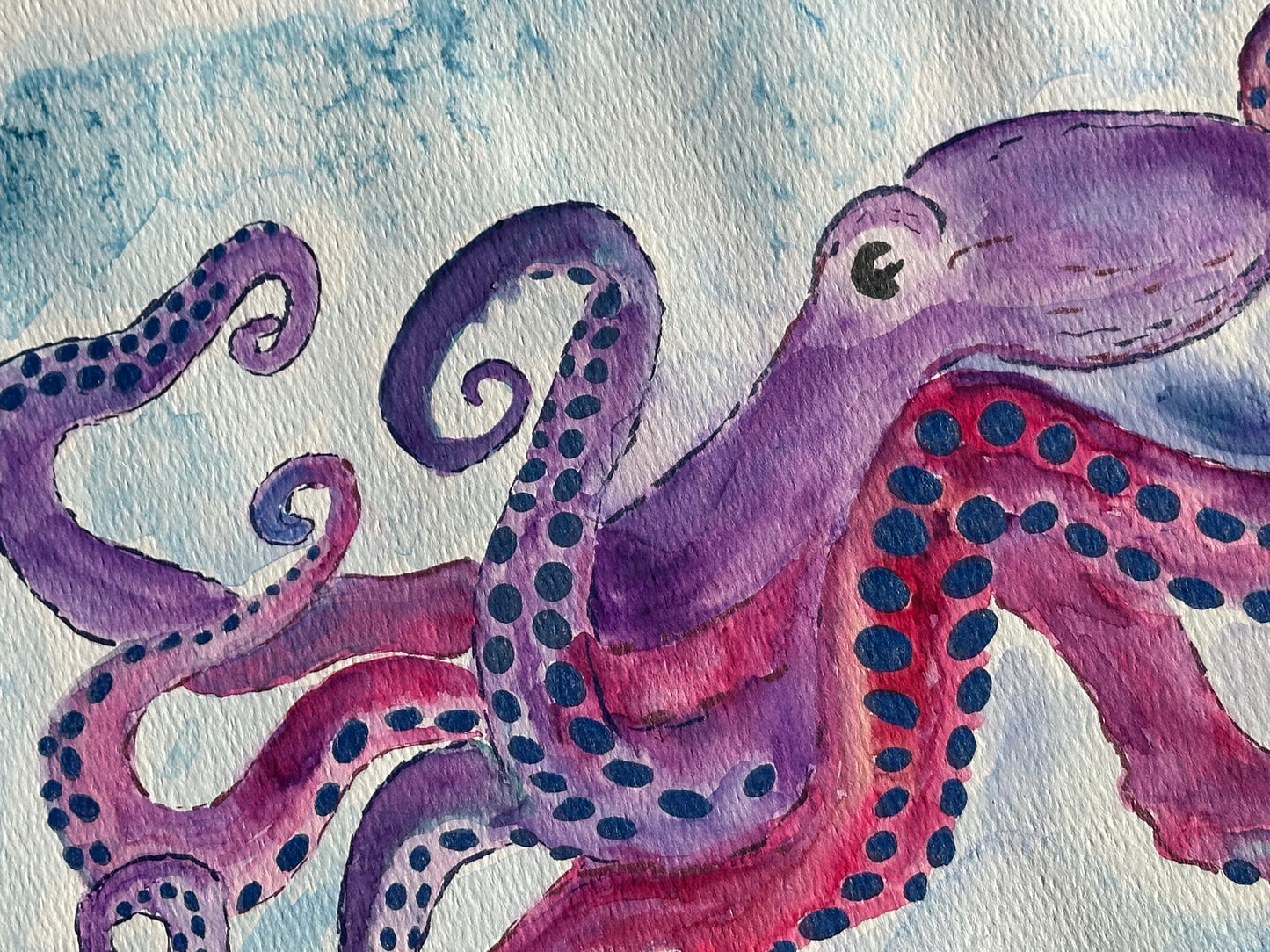 Original Watercolor Giant Octopus- Gladius