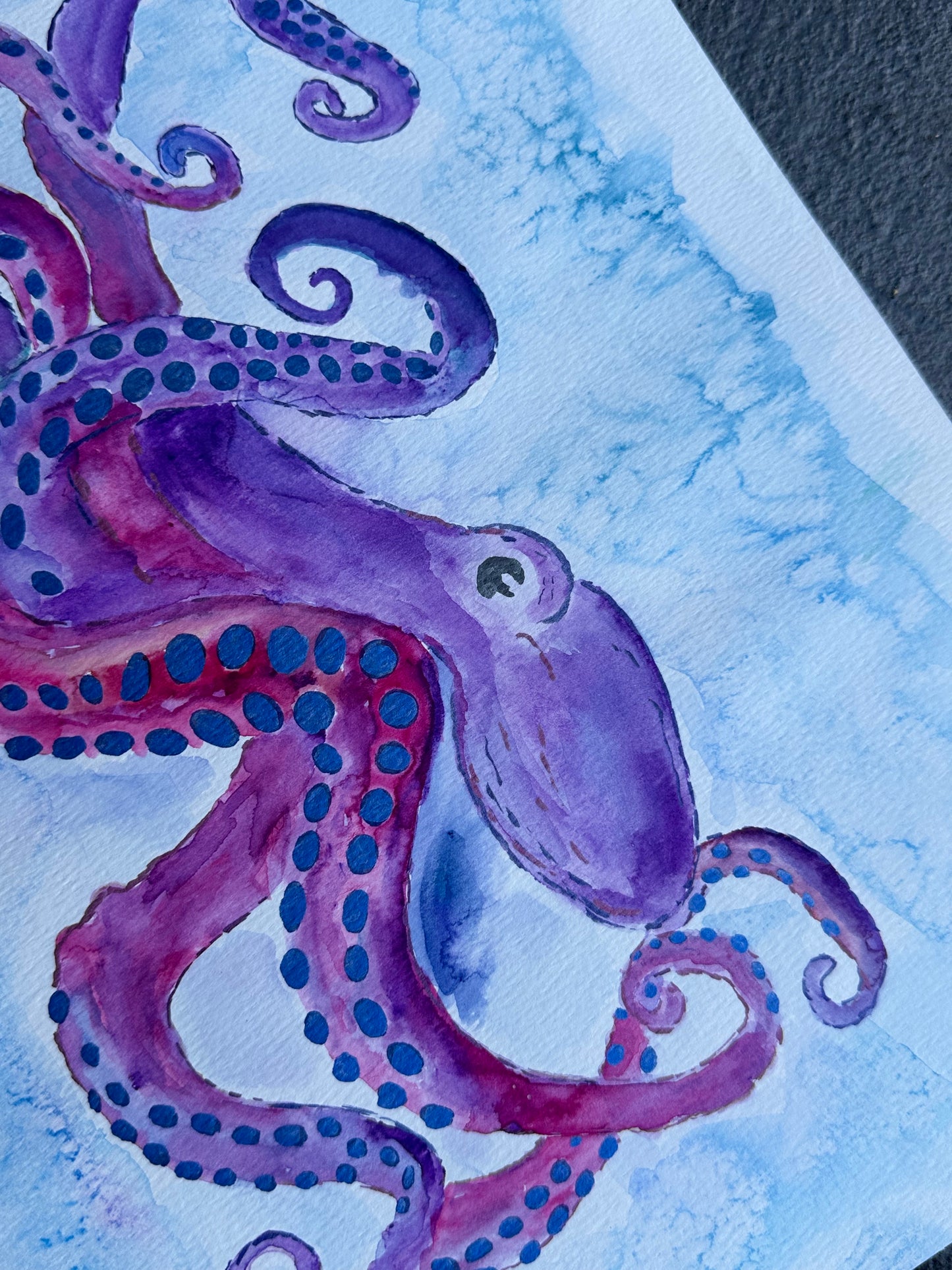 Original Watercolor Giant Octopus- Gladius