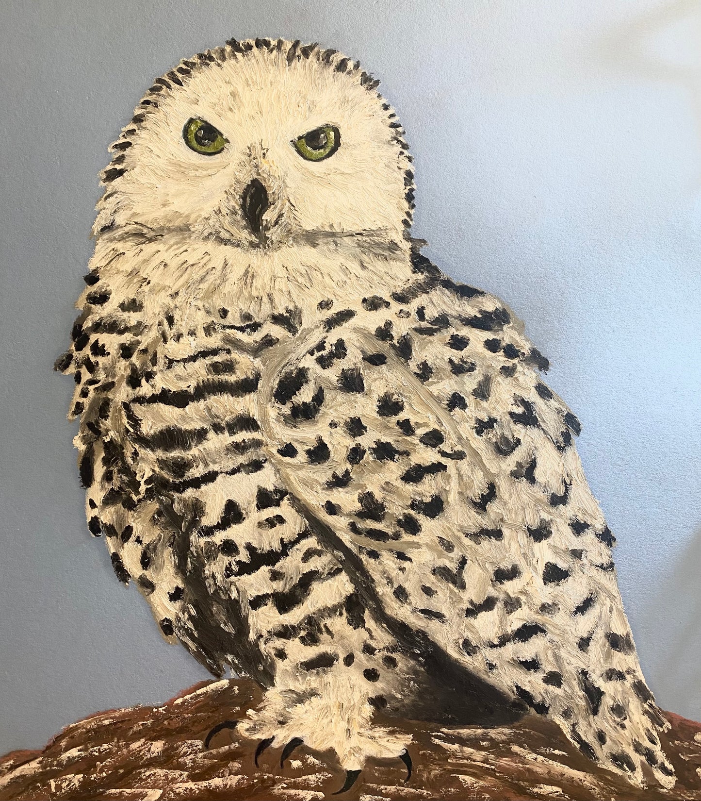 Oil Pastel Painting Rare Cypress California Owl