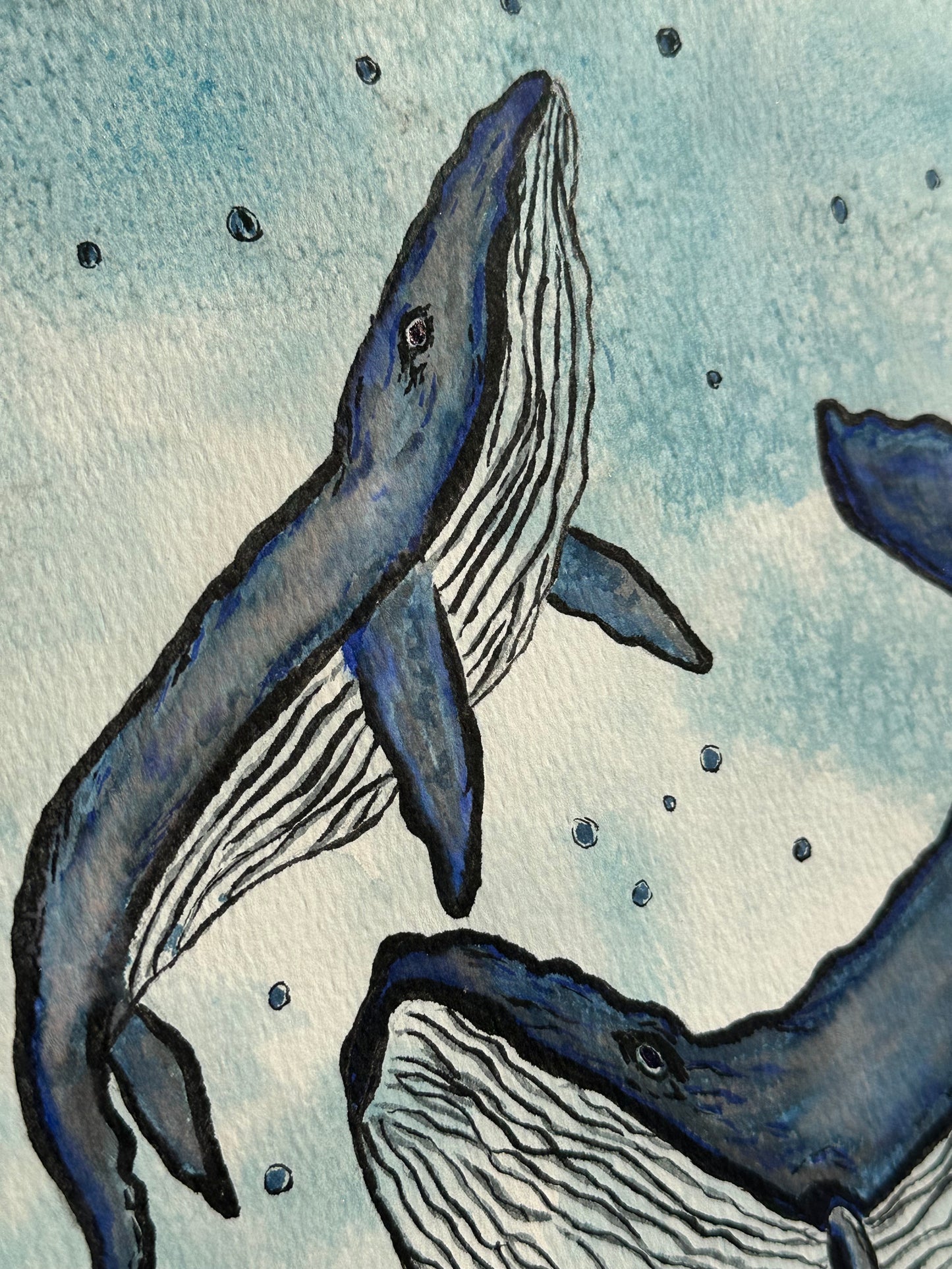 Whale Family, Watercolor - Under The Sea Collection