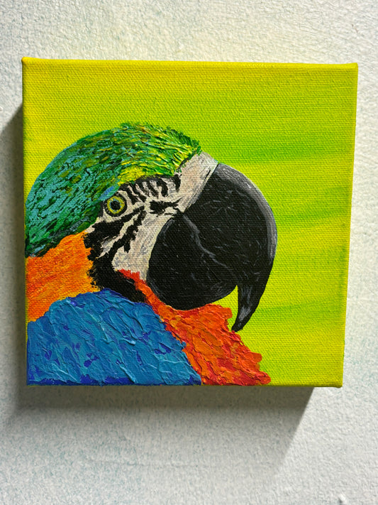 What the Flock- Parrot in Acrylic