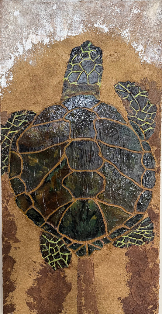 Path of the Honu